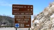 PICTURES/Mt. Lemmon/t_Oracle Road Sign.JPG